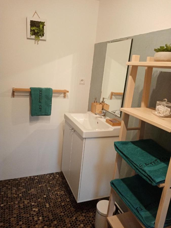 Chaux-des-Pres Les P'Tites Pistes Bed & Breakfast エクステリア 写真