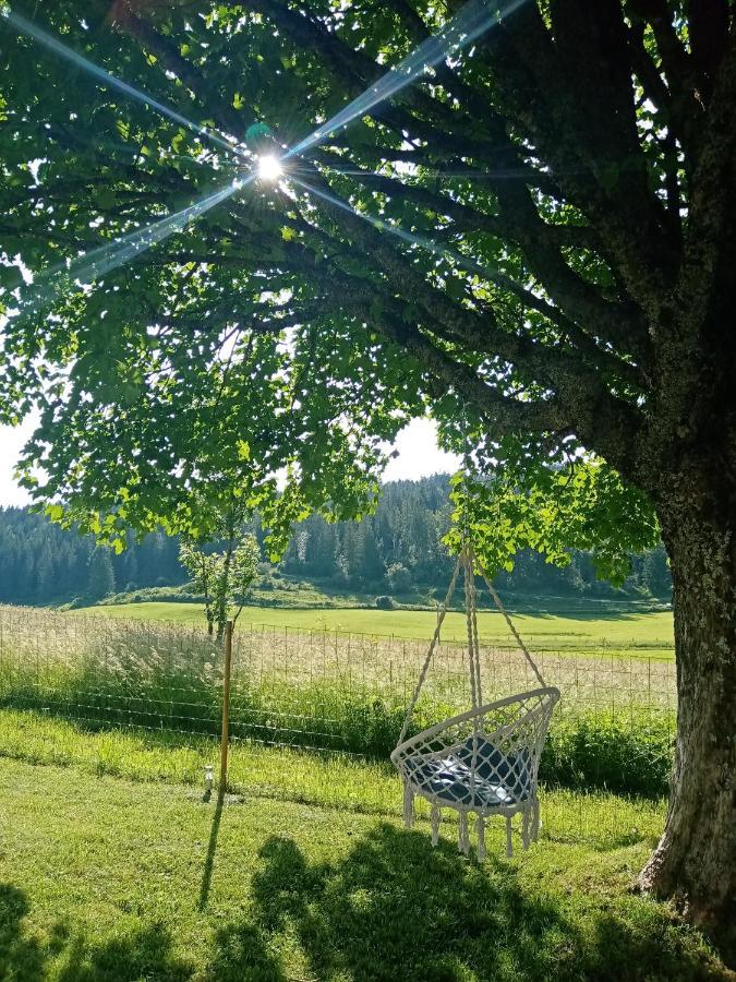 Chaux-des-Pres Les P'Tites Pistes Bed & Breakfast エクステリア 写真