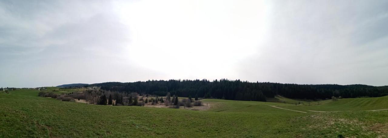 Chaux-des-Pres Les P'Tites Pistes Bed & Breakfast エクステリア 写真